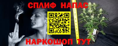 стаф Нягань