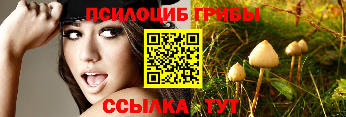 Псилоцибиновые грибы GOLDEN TEACHER  Вход с VPN  дарнет шоп  Петрозаводск 